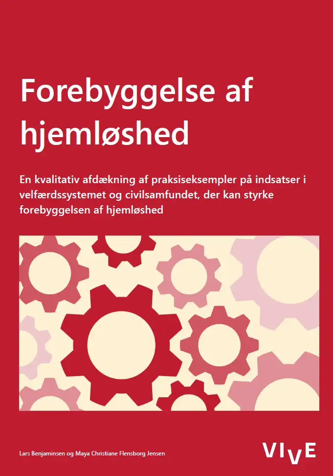 Billede af publikationsforsiden